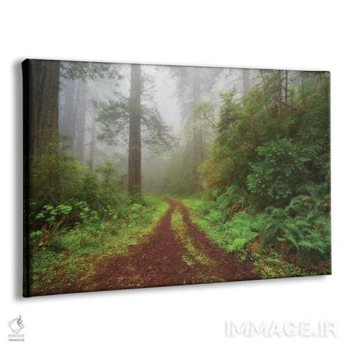تابلو بیشه افسونشده اثر داتلیش - نمای پرسپکتیو محصول