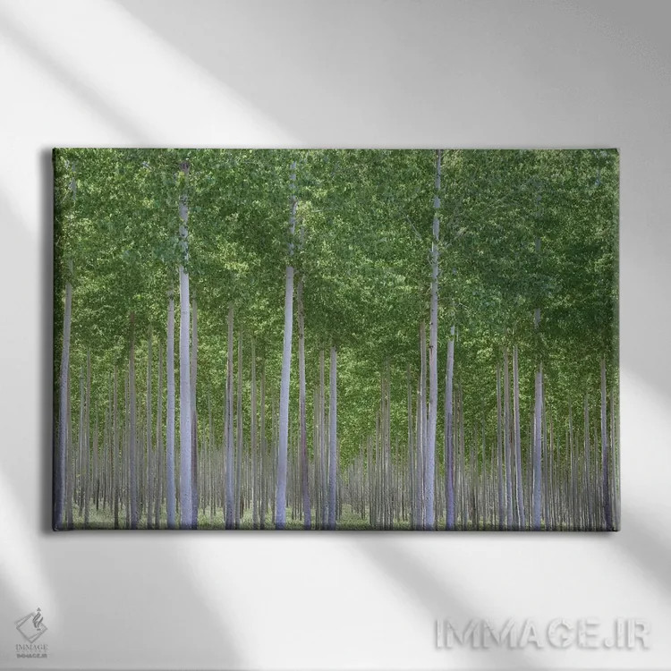 تابلو دره پریان اثر داتلیش - نمای روبهرو روی دیوار