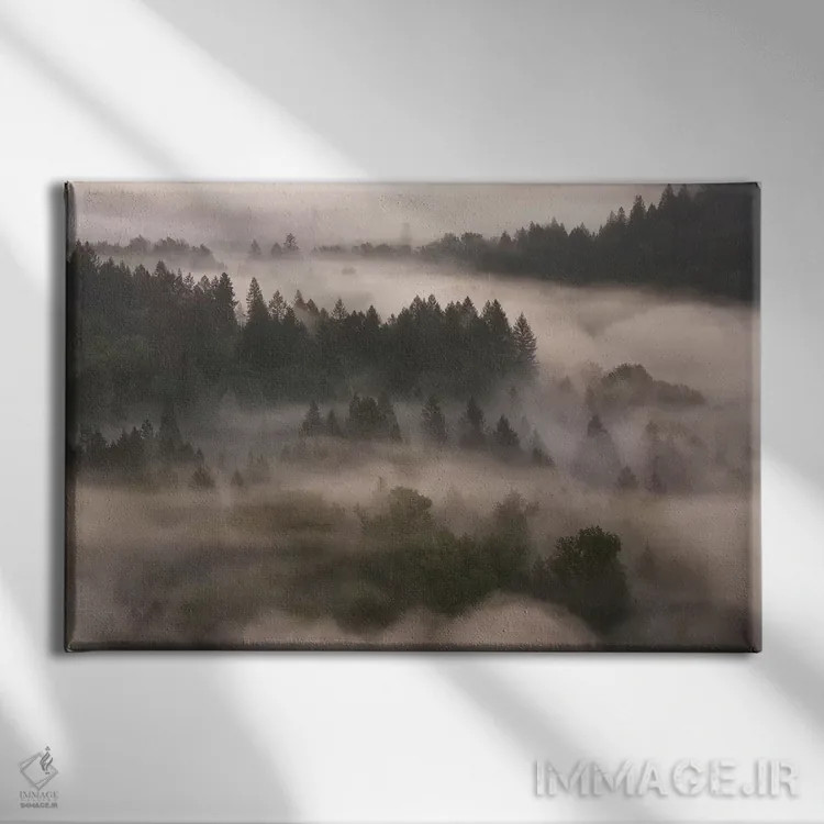 تابلو پوشش جنگل اثر داتلیش - نمای روبهرو روی دیوار