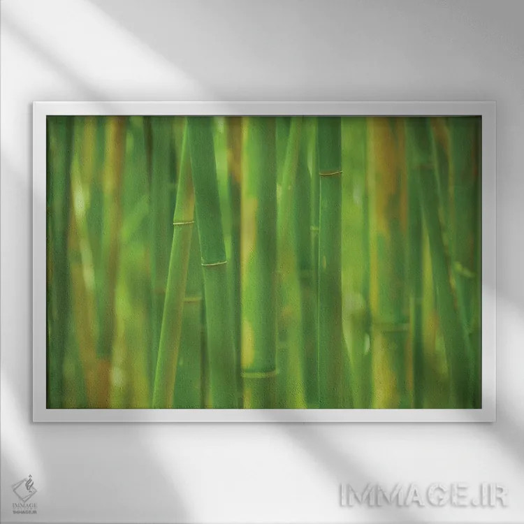 تابلو جنگل زمرباور اثر داتلیش - نمای قابدار سفید