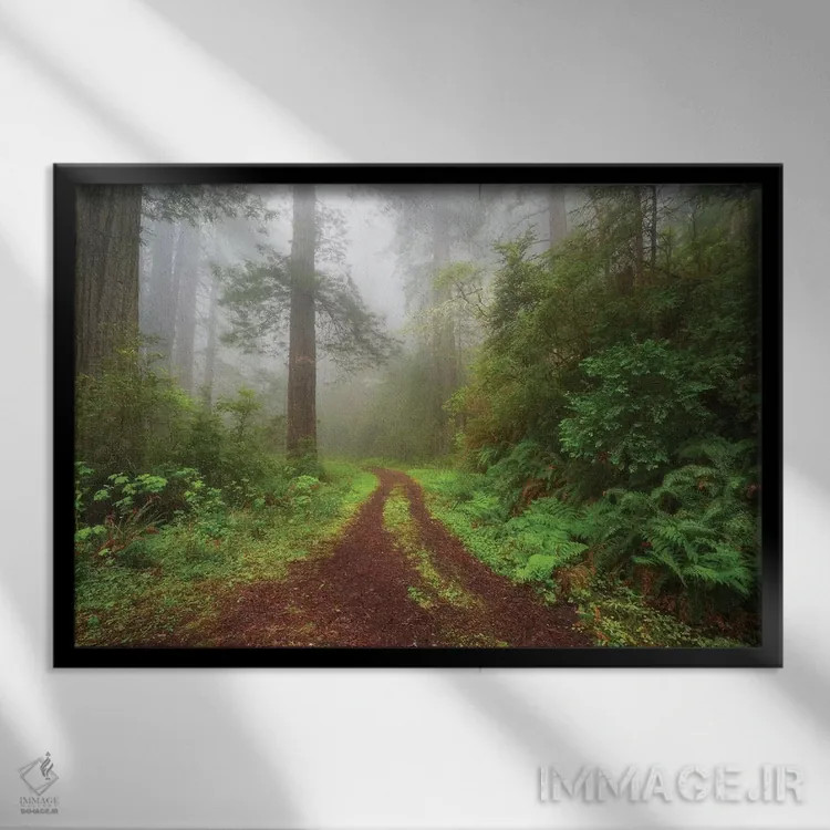 تابلو بیشه افسونشده اثر داتلیش - نمای قابدار مشکی
