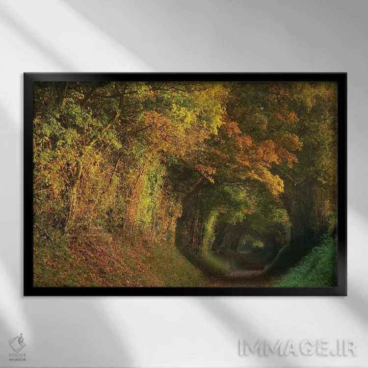 تابلو تونل پاییزی اثر داتلیش - نمای قابدار مشکی