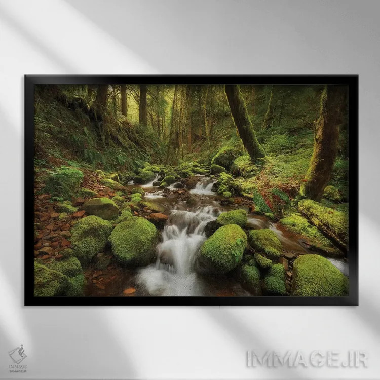 تابلو جویبار افسونشده اثر داتلیش - نمای قابدار مشکی