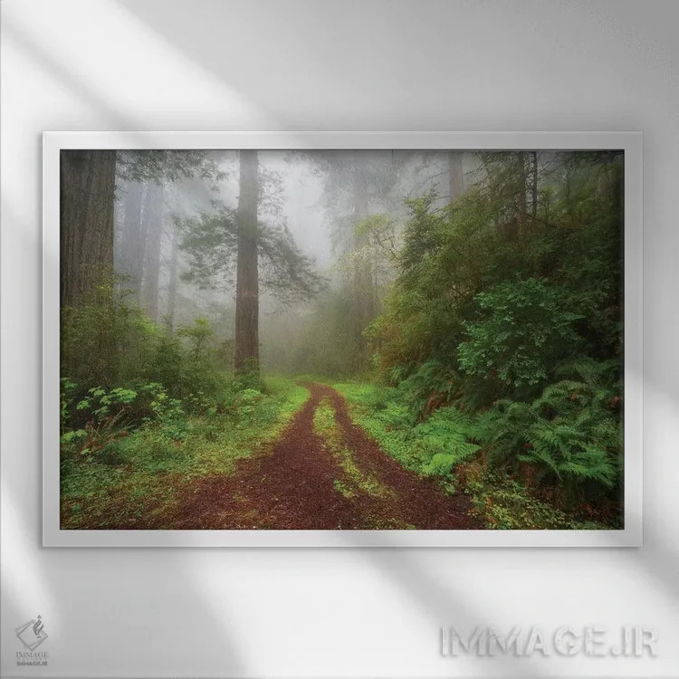 تابلو بیشه افسونشده اثر داتلیش - نمای قابدار سفید