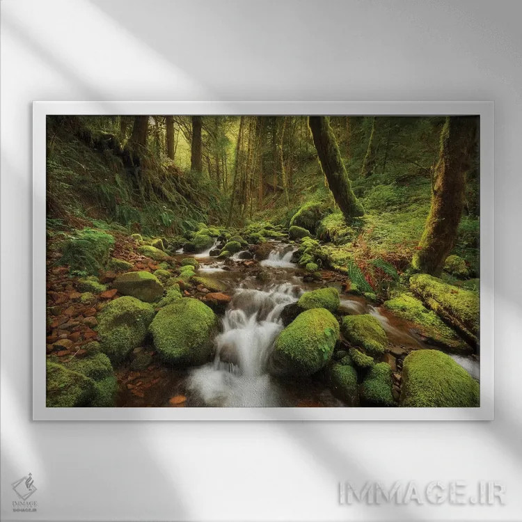 تابلو جویبار افسونشده اثر داتلیش - نمای قابدار سفید