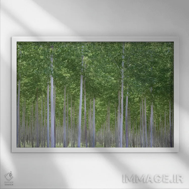 تابلو دره پریان اثر داتلیش - نمای قابدار سفید