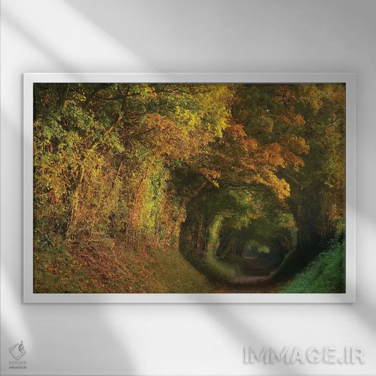 تابلو تونل پاییزی اثر داتلیش - نمای قابدار سفید