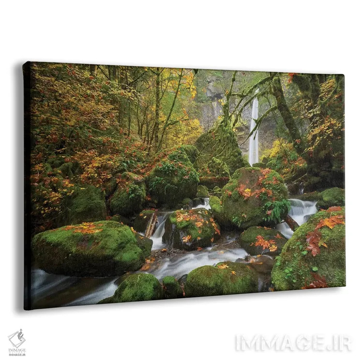 تابلو رویای خزهای اثر داتلیش - نمای پرسپکتیو محصول