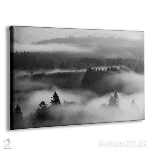 تابلو جادوی جنگل مهآلود اثر داتلیش - نمای پرسپکتیو محصول