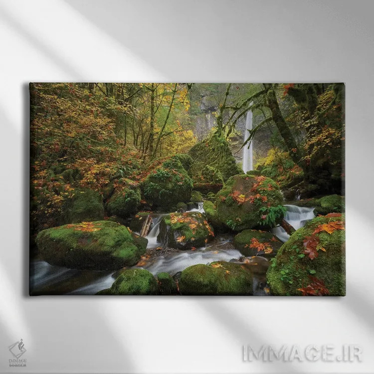 تابلو رویای خزهای اثر داتلیش - نمای روبهرو روی دیوار