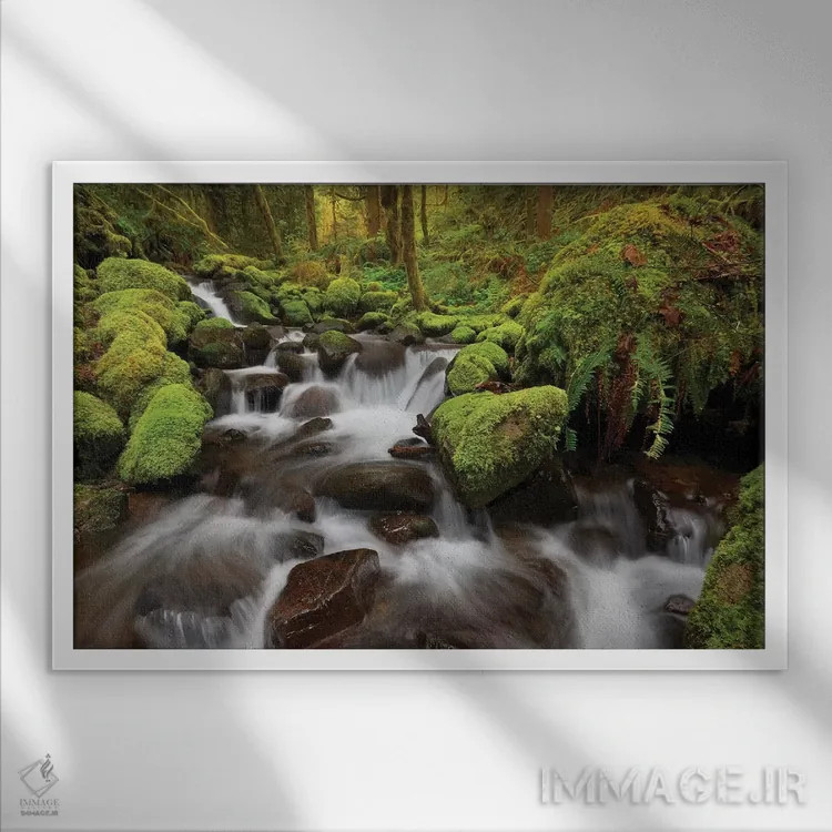 تابلو طلای سبز اثر داتلیش - نمای قابدار سفید