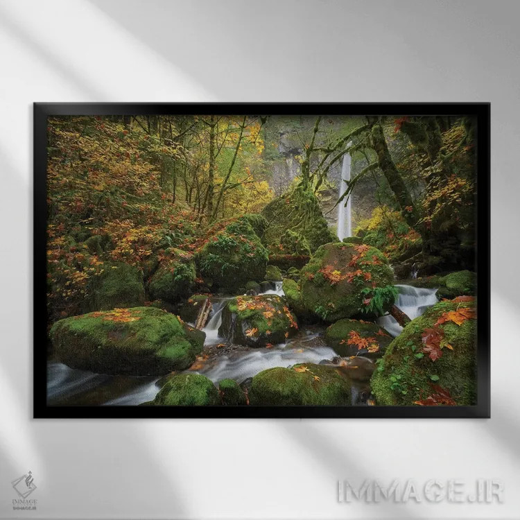 تابلو رویای خزهای اثر داتلیش - نمای قابدار مشکی