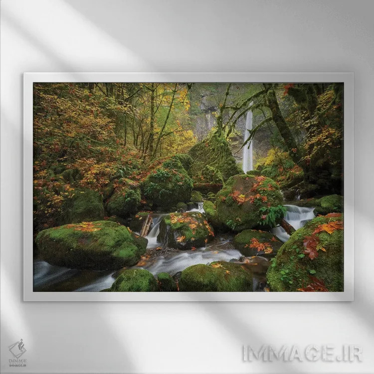 تابلو رویای خزهای اثر داتلیش - نمای قابدار سفید