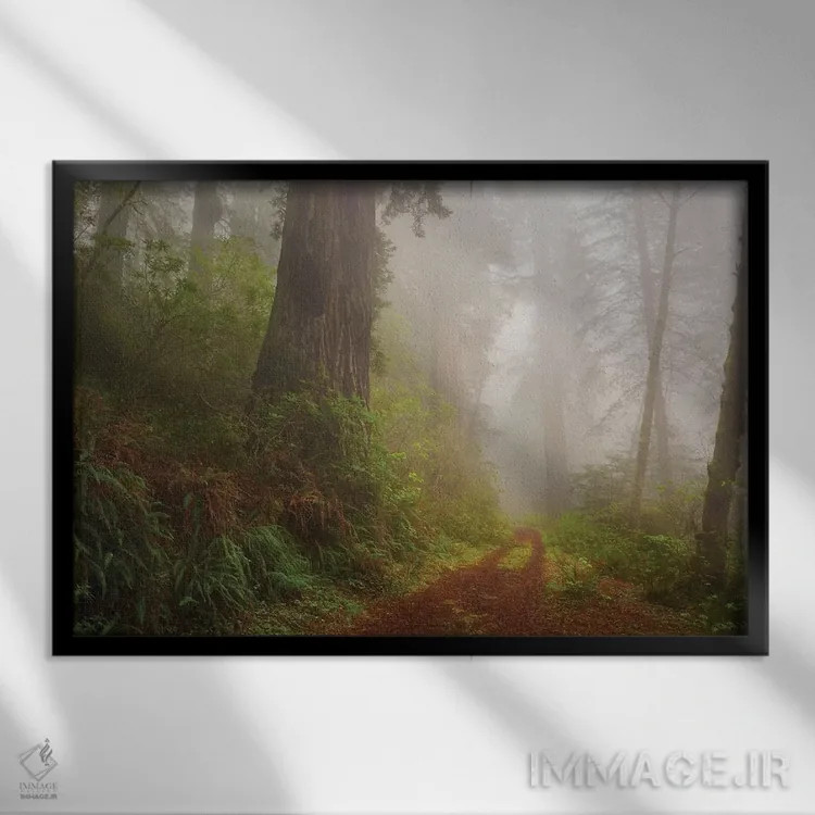 تابلو مسیر رازآلود اثر داتلیش - نمای قابدار مشکی