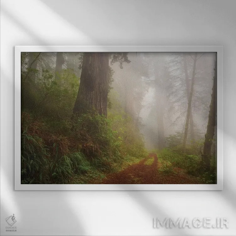 تابلو مسیر رازآلود اثر داتلیش - نمای قابدار سفید