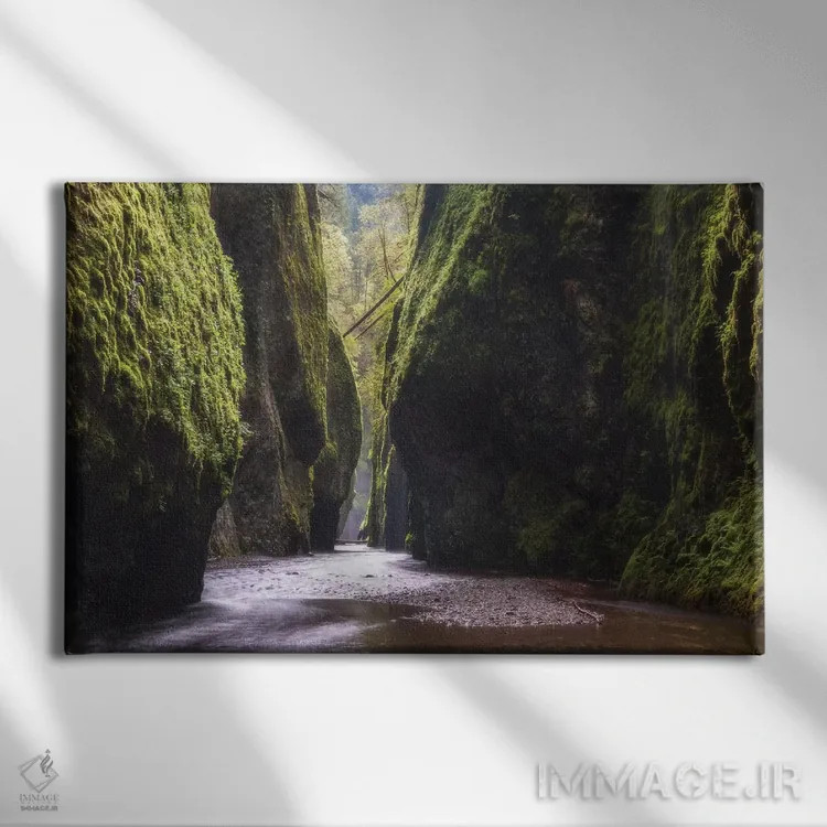 تابلو دره خاموش اثر داتلیش - نمای روبهرو روی دیوار