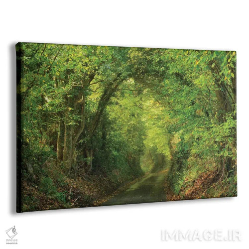 تابلو کوچه بهاری اثر داتلیش - نمای پرسپکتیو محصول