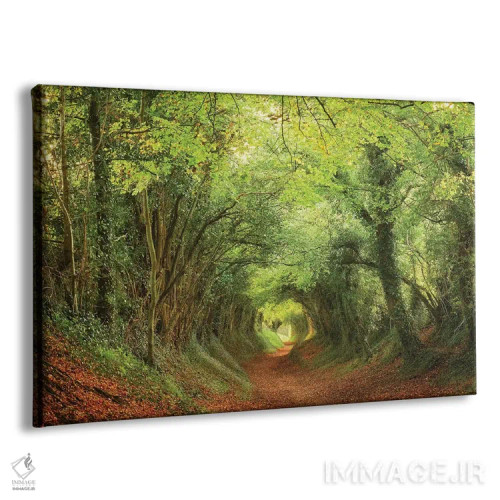 تابلو تونل درختی اثر داتلیش - نمای پرسپکتیو محصول