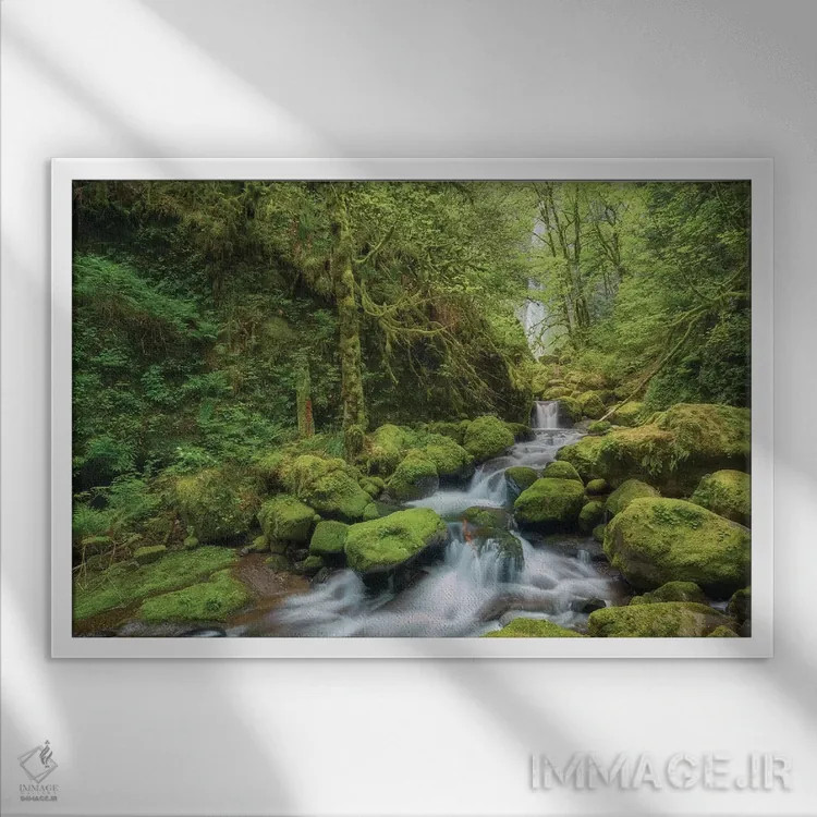 تابلو جویبار مخفی اثر داتلیش - نمای قابدار سفید