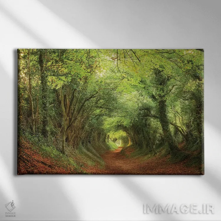 تابلو تونل درختی اثر داتلیش - نمای روبهرو روی دیوار