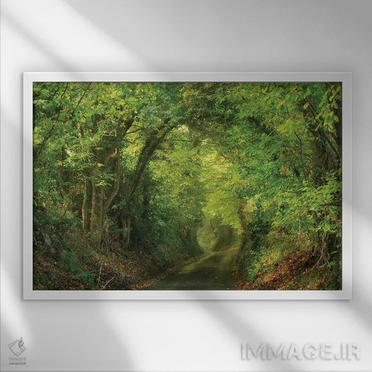 تابلو کوچه بهاری اثر داتلیش - نمای قابدار سفید