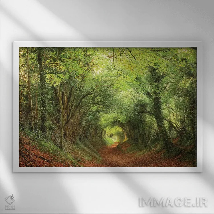 تابلو تونل درختی اثر داتلیش - نمای قابدار سفید
