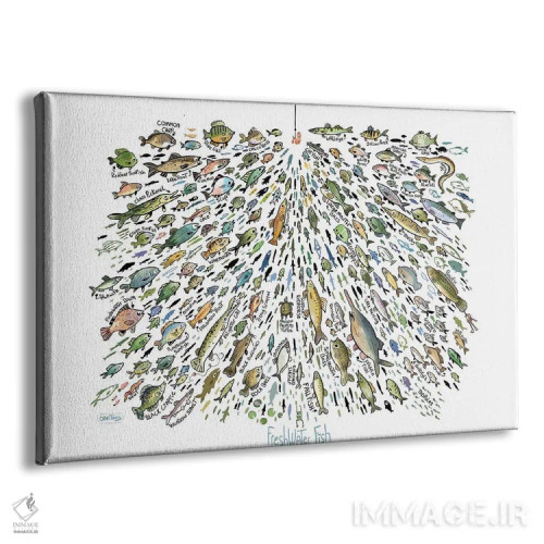 تابلو ماهیهای زیاد آب شیرین اثر دن تاویس - نمای پرسپکتیو محصول