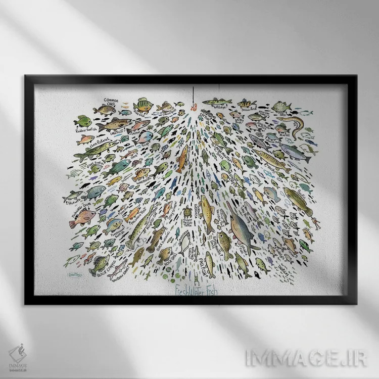 تابلو ماهیهای زیاد آب شیرین اثر دن تاویس - نمای قابدار مشکی