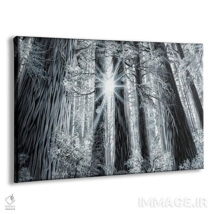تابلو جنگل خاطره اثر دکوتا دیتویلر - نمای پرسپکتیو محصول