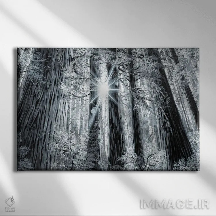 تابلو جنگل خاطره اثر دکوتا دیتویلر - نمای روبهرو روی دیوار