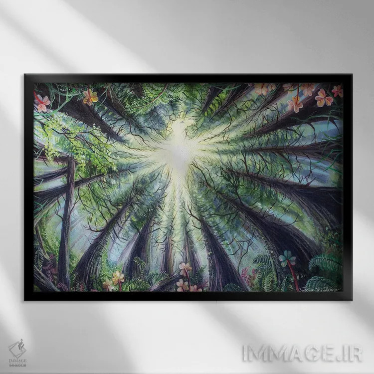 تابلو ققنوس در جنگلهای ردوود (درختان بزرگ آمریکا) اثر دکوتا دیتویلر - نمای قابدار مشکی