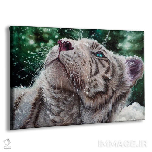 تابلو ببر برفی اثر دکوتا دیتویلر - نمای پرسپکتیو محصول