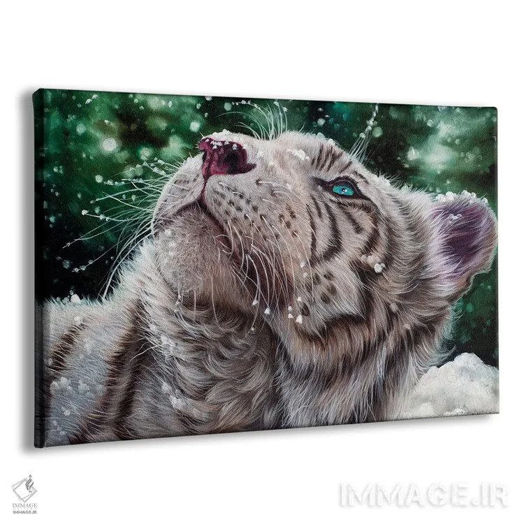 تابلو ببر برفی اثر دکوتا دیتویلر - نمای پرسپکتیو محصول