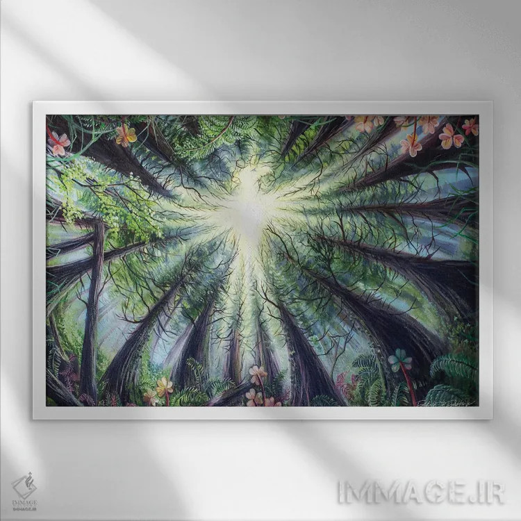 تابلو ققنوس در جنگلهای ردوود (درختان بزرگ آمریکا) اثر دکوتا دیتویلر - نمای قابدار سفید