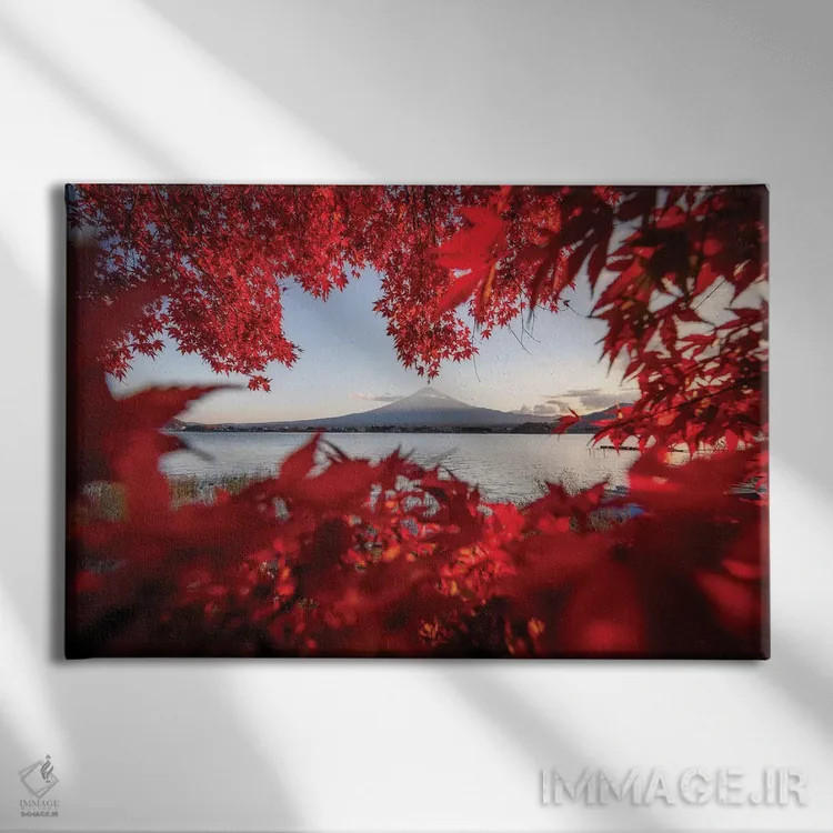 تابلو قلعه ماتسوموتو هشت (ژاپن) اثر دایسوکه اوئهماتسو - نمای روبهرو روی دیوار