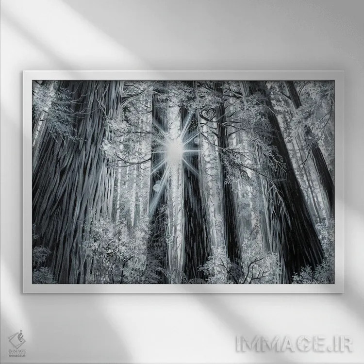 تابلو جنگل خاطره اثر دکوتا دیتویلر - نمای قابدار سفید