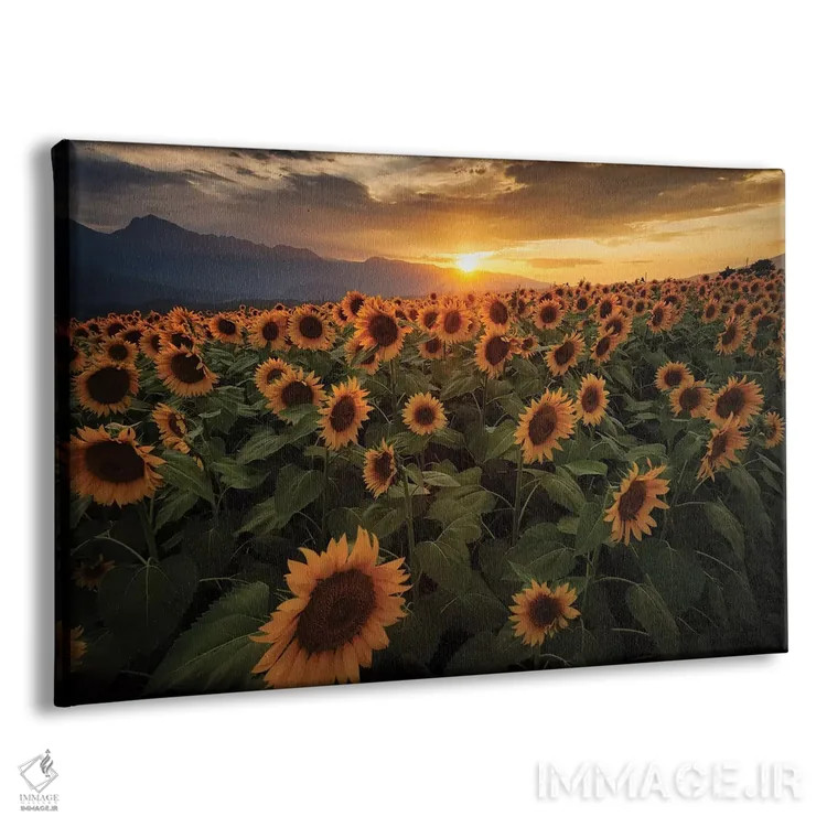 تابلو تابستان در ژاپن سیزدهم اثر دایسوکه اوئهماتسو - نمای پرسپکتیو محصول