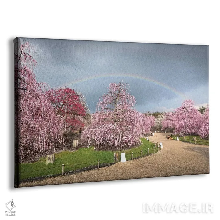 تابلو بهار در ژاپن نوزده اثر دایسوکه اوئهماتسو - نمای پرسپکتیو محصول