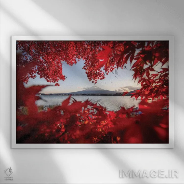 تابلو قلعه ماتسوموتو هشت (ژاپن) اثر دایسوکه اوئهماتسو - نمای قابدار سفید