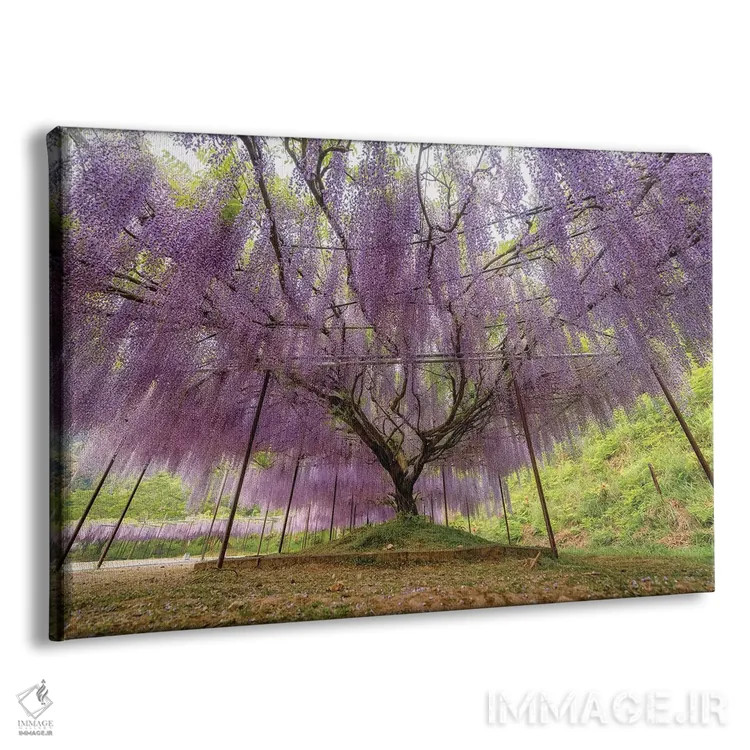 تابلو بهار در ژاپن بیست و دوم اثر دایسوکه اوئهماتسو - نمای پرسپکتیو محصول