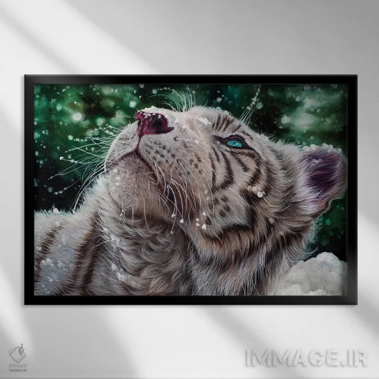 تابلو ببر برفی اثر دکوتا دیتویلر - نمای قابدار مشکی