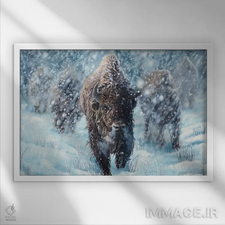 تابلو مثل بوفالو باش اثر دکوتا دیتویلر - نمای قابدار سفید