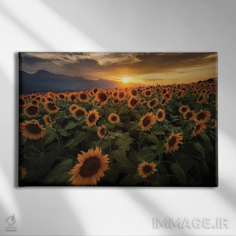 تابلو تابستان در ژاپن سیزدهم اثر دایسوکه اوئهماتسو - نمای روبهرو روی دیوار