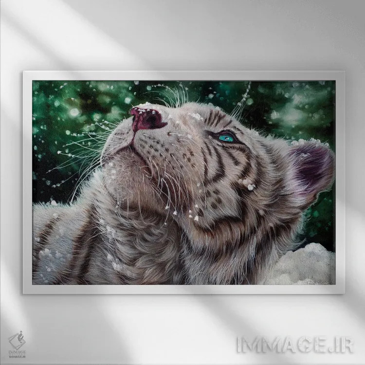 تابلو ببر برفی اثر دکوتا دیتویلر - نمای قابدار سفید