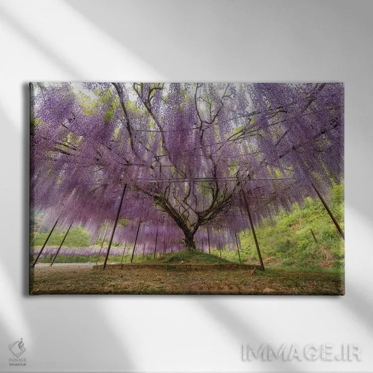 تابلو بهار در ژاپن بیست و دوم اثر دایسوکه اوئهماتسو - نمای روبهرو روی دیوار