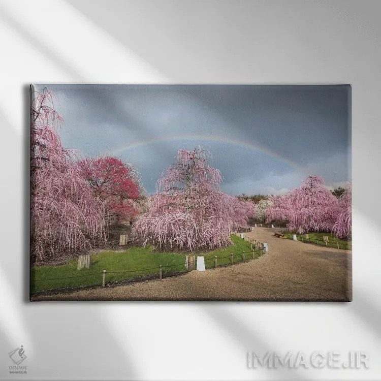 تابلو بهار در ژاپن نوزده اثر دایسوکه اوئهماتسو - نمای روبهرو روی دیوار