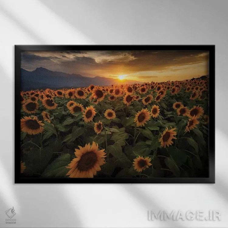 تابلو تابستان در ژاپن سیزدهم اثر دایسوکه اوئهماتسو - نمای قابدار مشکی