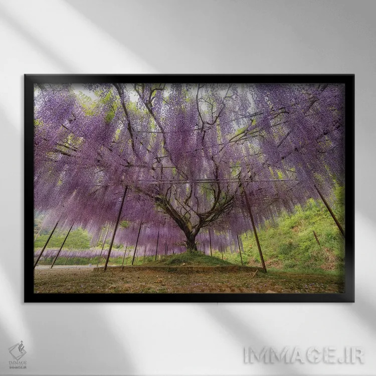 تابلو بهار در ژاپن بیست و دوم اثر دایسوکه اوئهماتسو - نمای قابدار مشکی