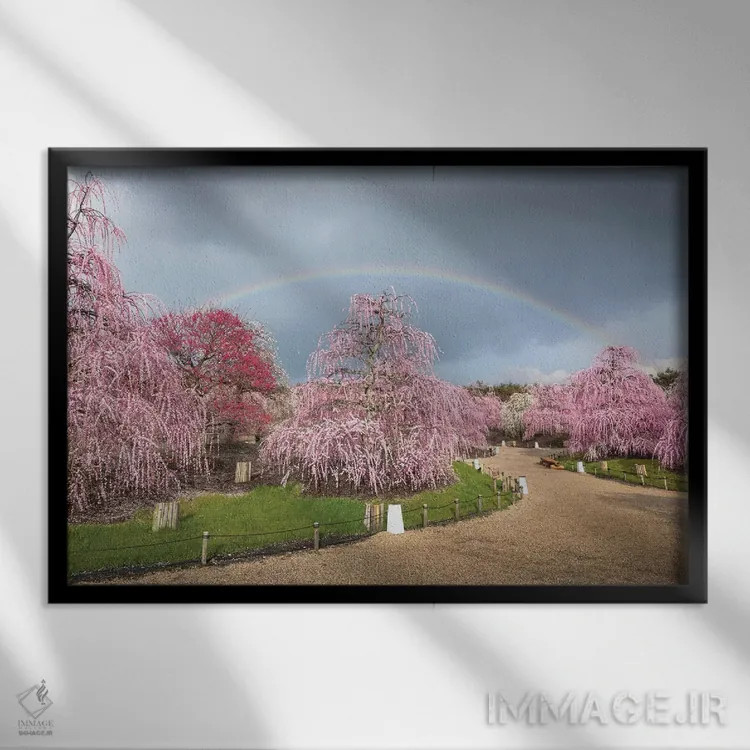 تابلو بهار در ژاپن نوزده اثر دایسوکه اوئهماتسو - نمای قابدار مشکی