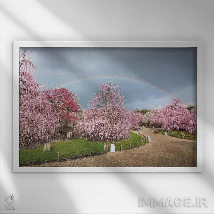 تابلو بهار در ژاپن نوزده اثر دایسوکه اوئهماتسو - نمای قابدار سفید